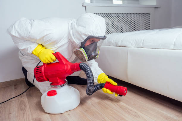 Best Affordable Pest Control Services  in Buckley, WA