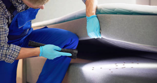 Best Pest Control Near Me  in Buckley, WA