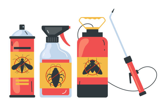 Best Spider Control Near Me  in Buckley, WA