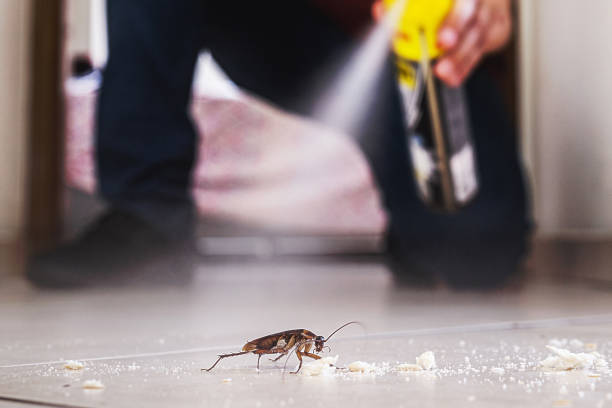 Pest Prevention Services in Buckley, WA