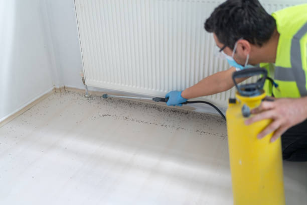 Best Cockroach Control Services  in Buckley, WA
